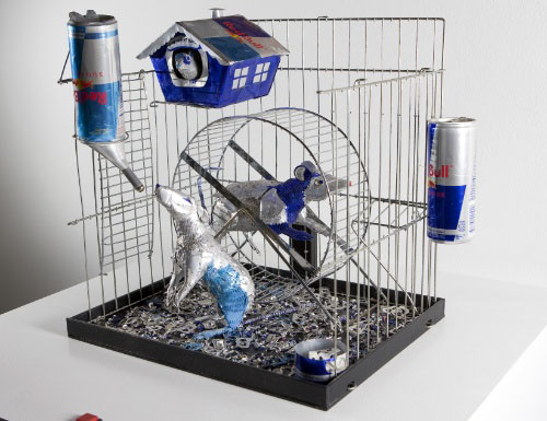 Red Bull -     ? (10 )