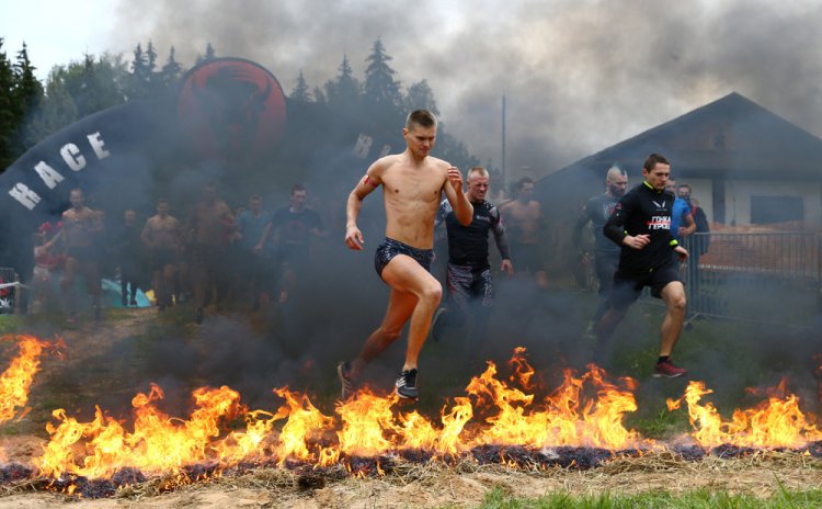 Bison Race  