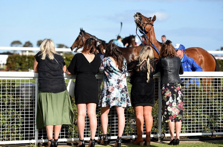    Australian Geelong Cup