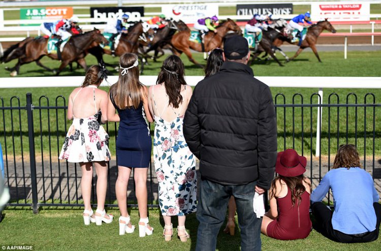    Australian Geelong Cup