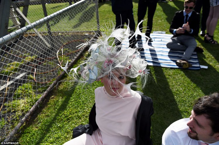    Australian Geelong Cup