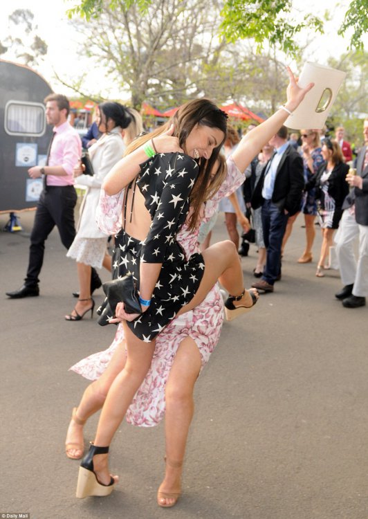    Australian Geelong Cup