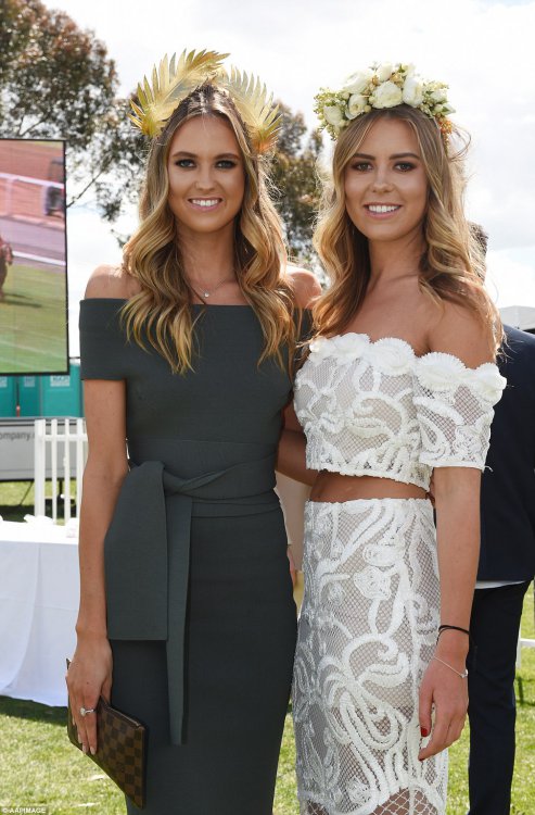    Australian Geelong Cup