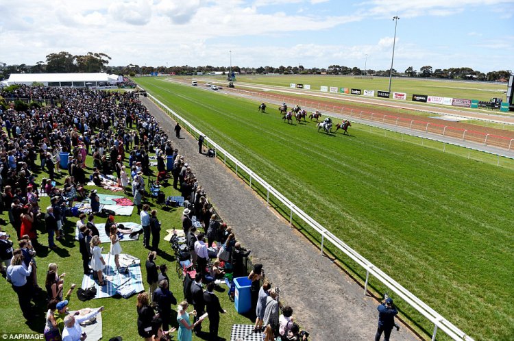    Australian Geelong Cup