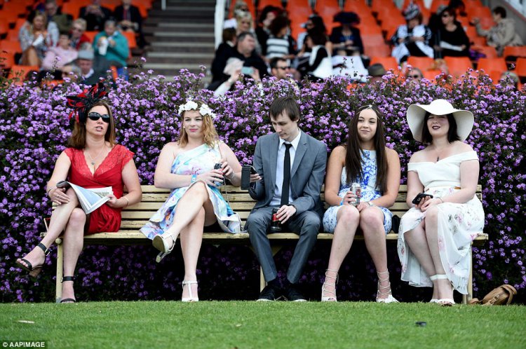    Australian Geelong Cup