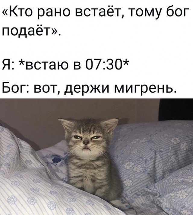 Так себе картинки